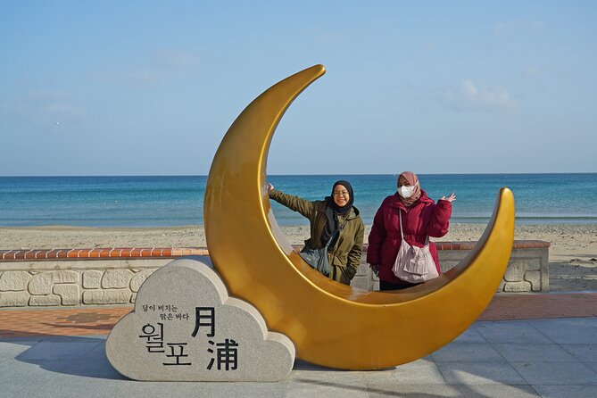 Pohang Home Town Cha Cha Cha Drama Locations Tour - Inclusions and Amenities