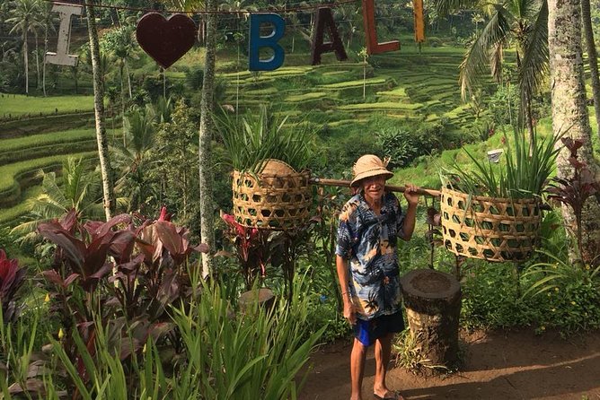 Point View of Kintamani Vulcano and Ubud Tour - Inclusions of the Tour