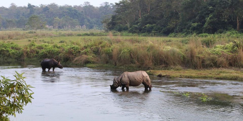Pokhara: 1 Night 2 Day Chitwan Safari Tour - Experience Highlights