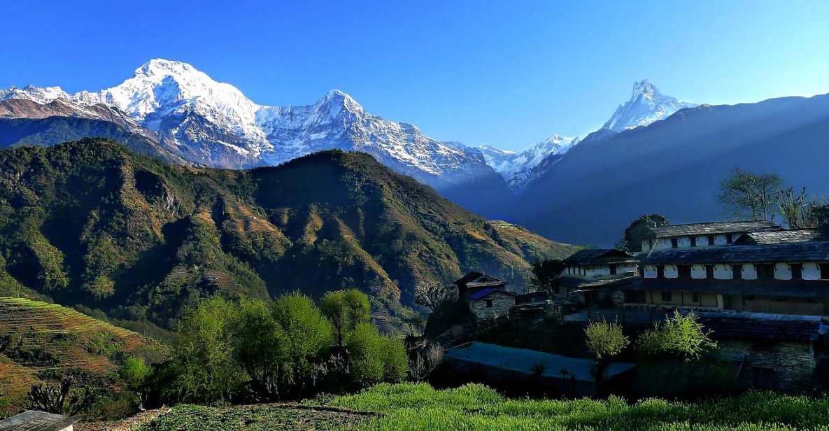 Pokhara: Poon Hill and Annapurna Base Camp Private Trek - Experience and Highlights