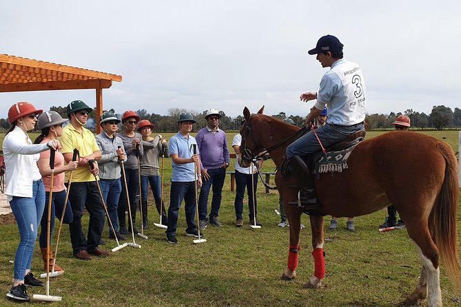 Polo Lessons From Buenos Aires by Polo Elite - Lesson Structure and Content