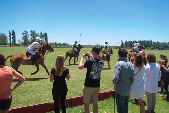 Polo Match, BBQ and Lesson Day-Trip From Buenos Aires - Itinerary Highlights