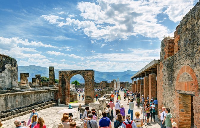 Pompeii and Herculaneum Led by an Archaeologist With Private Transport - Private Transport Details