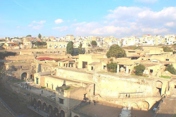 Pompeii and Herculaneum Private Tour With Native Guide and Skip the Line Tickets - Inclusions of the Tour