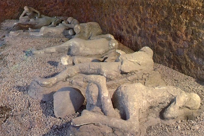 Pompeii Guided Walking Tour With Included Entrance at Pompeii Ruins - Included in the Tour