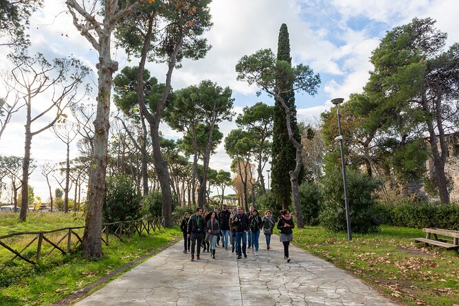 Pompeii & Its Ruins at Your Pace From Rome - Inclusions