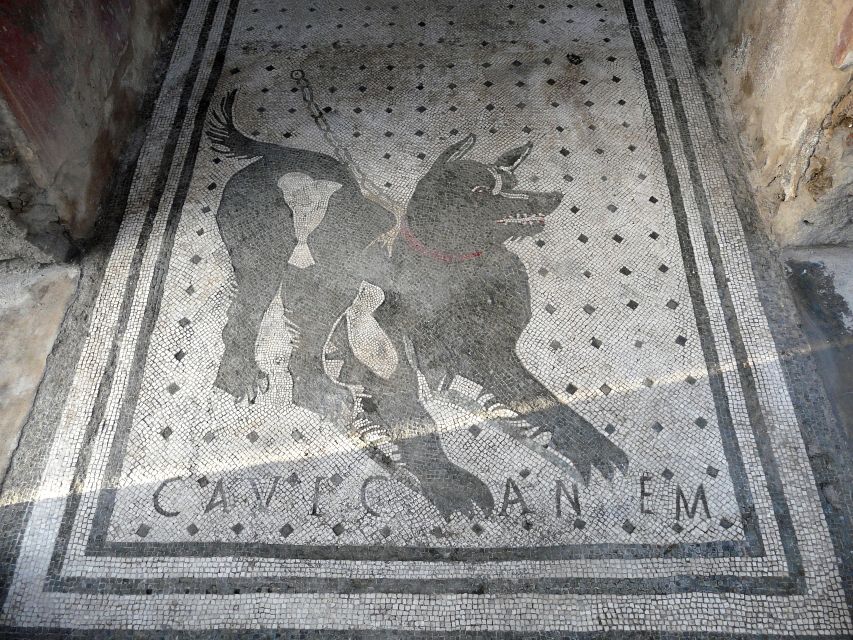 Pompeii: Skip-the-line-Ticket and Guided Tour - Tour Highlights