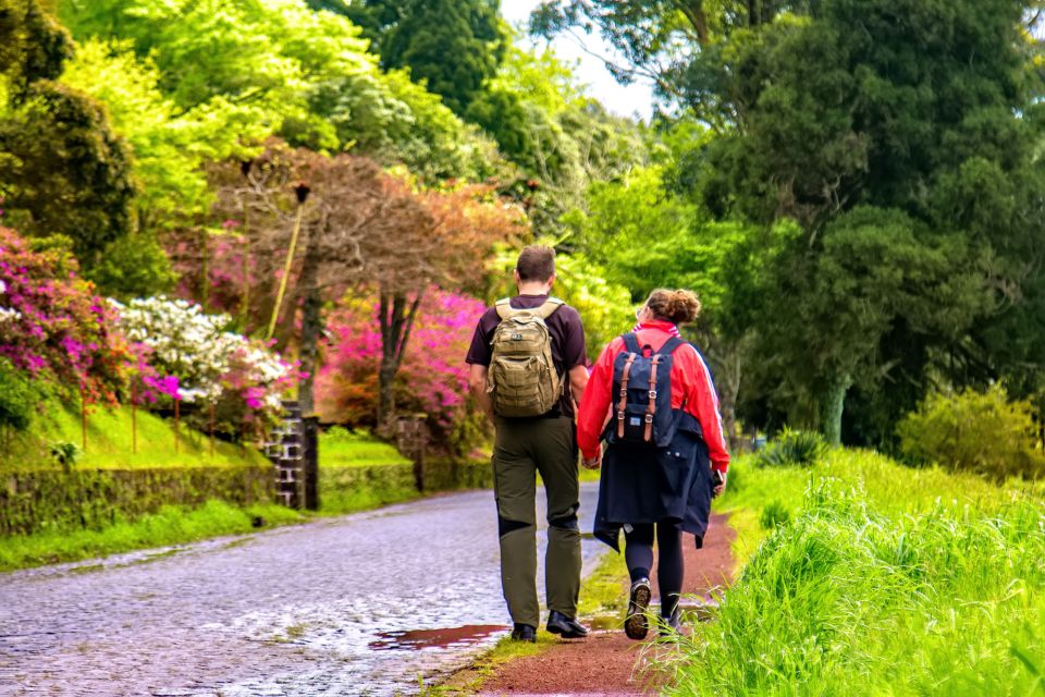 Ponta Delgada: Full-Day Van Tour to Furnas Valley - Highlights