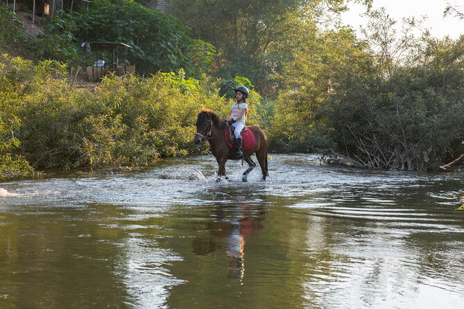 Pony Riding in Luang Prabang - Pricing Information