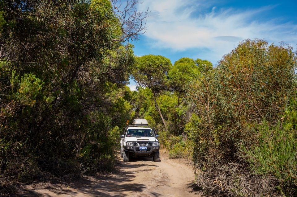 Port Lincoln: Wildlife and Sightseeing Full-Day 4WD Tour - Tour Description