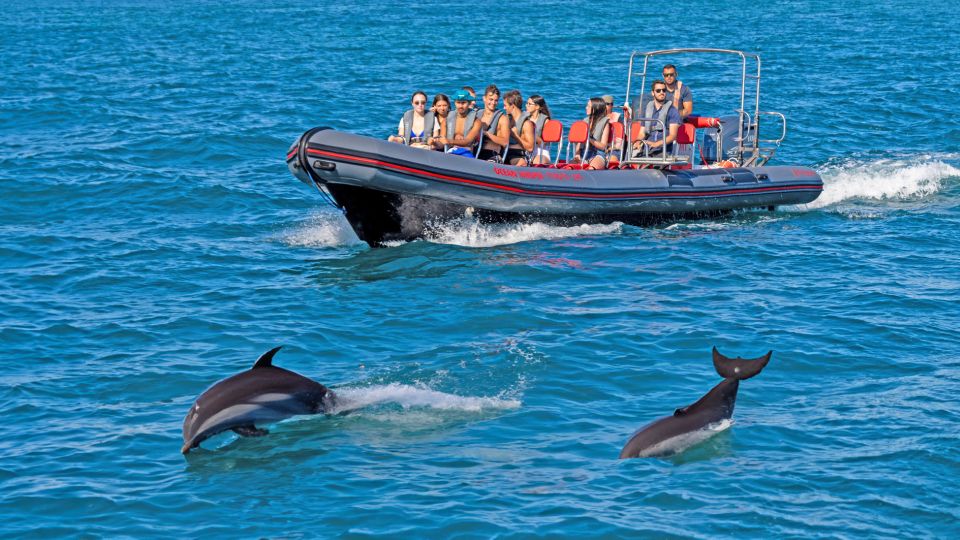 Portimão: Dolphin Watching Tour With Marine Biologist - Booking Information