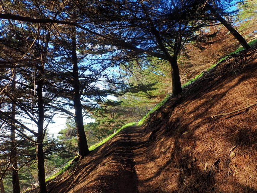 Porto Santo - Pico Do Facho Hiking Tour - Booking Details