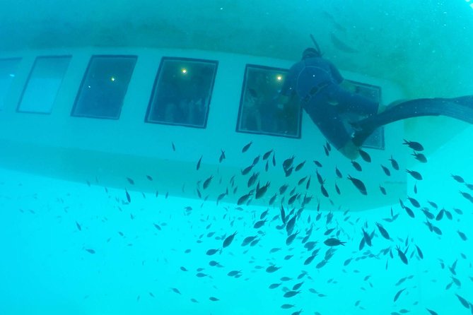 Poseidon Submarine At Mandraki Harbor - Highlights of the Experience