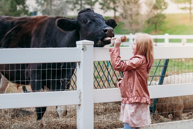 Premium Amish Country Tour Including Amish Farm and House - Meeting and Pickup Information