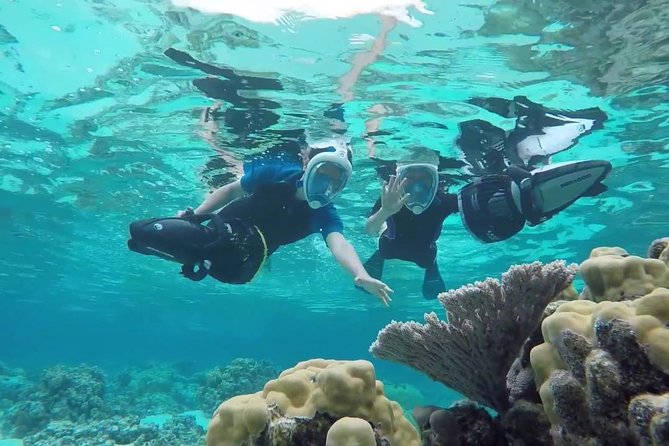 Premium Catamaran Afternoon Sail: Snorkeling and Lunch - Exploring the Underwater World