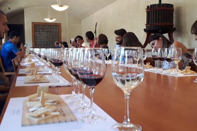 Premium Concha Y Toro Winery Tour With Wine and Cheese Tastings From Santiago - Tips for a Great Experience