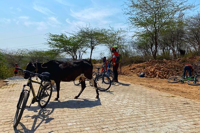 Premium Delhi Aravalli Organic Cycle Tour - a Glimpse of Real and Rural India - Inclusions and Amenities