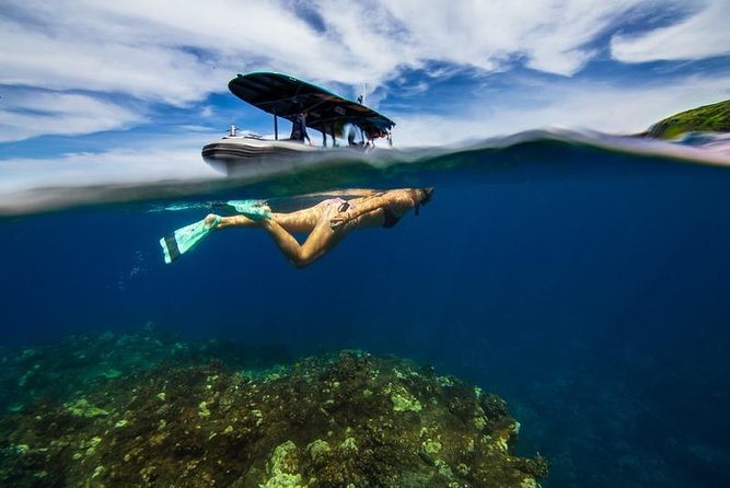 Premium Kona Coast Morning Snorkel - Itinerary and Experience