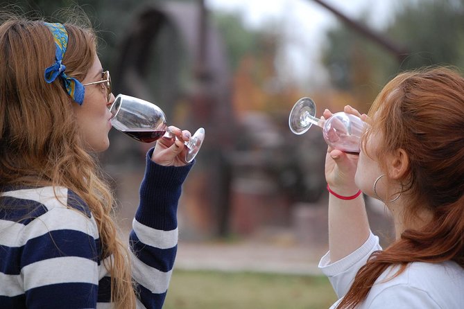 Premium Luján De Cuyo Wine-Tasting Tour in a Small Group - Itinerary Highlights