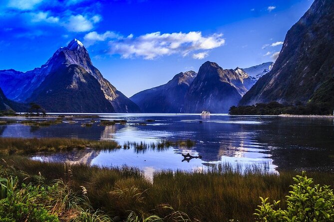 Premium Milford Sound Tour Including Cruise, Flight and Lunch - Accessibility Considerations