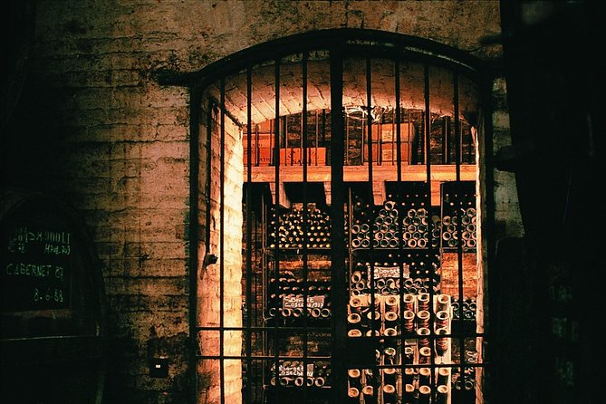 Premium Wine Tour in Viña Cousiño Macul - Whats Included in the Tour