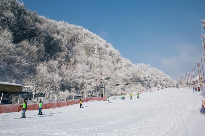 Private 1:1 Ski Lesson Near Seoul, South Korea - Instructor Qualifications and Experience