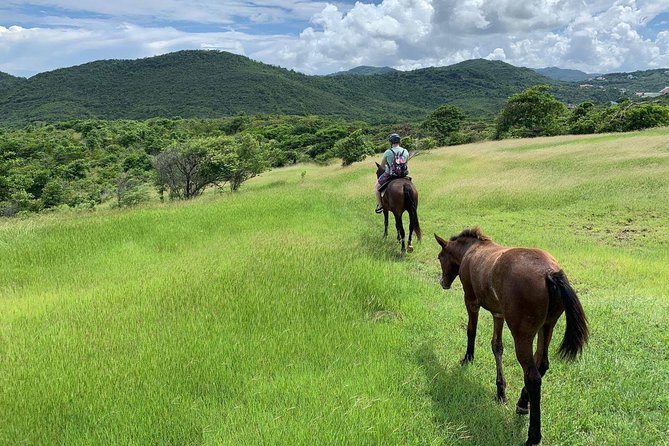 Private Advanced Horseback Beach Ride With Sandy Hoofs St. Lucia - Meeting Point Details