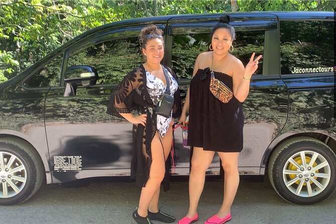 Private Airport Transfer to Excellence, Ocean Coral and Royalton - Transportation Features and Amenities
