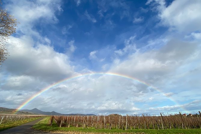 Private and Customizable: Alsace Wine Route HIGHLIGHTS in 3 Hours - Comfortable Transportation Details