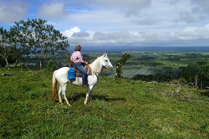 Private and Customized Horseback Riding Adventures - Scenic Trails to Explore