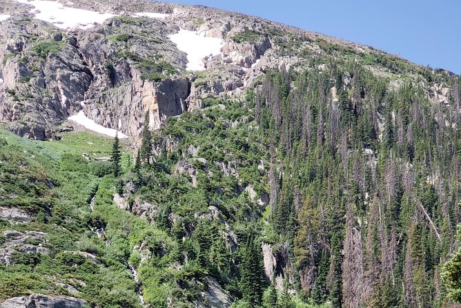 Private and Personalized Three Hour Morning Tour of Rocky Mountain National Park - Wildlife Viewing Opportunities
