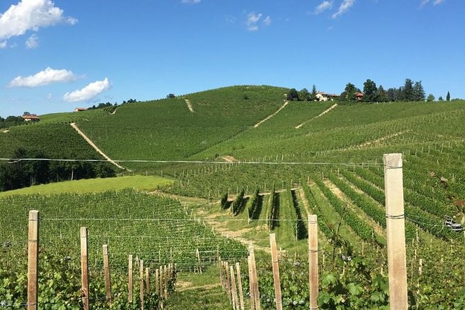 Private Barolo / Barbaresco - Piedmont Wine Tours and Tastings - Itinerary Customization