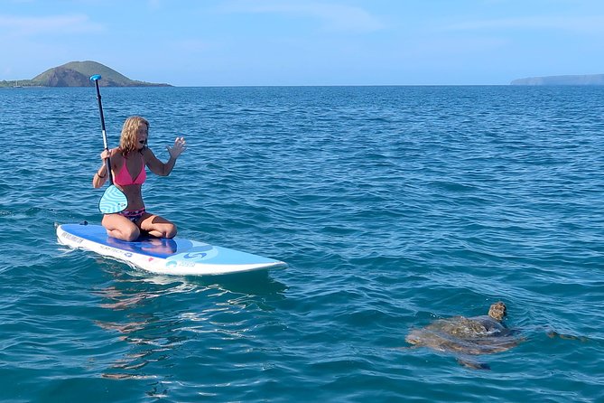 Private Beginner Paddleboard 101 Lesson- Polo Beach, Turtle Town! - Whats Included in the Tour