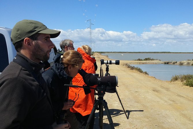 Private Birding & Photography Day Trip to Doñana - Tour Itinerary and Activities