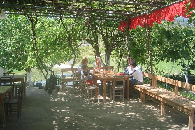 Private Bodrum Village Tour + 1 Glass Free Local Wine - Inclusions and What to Expect