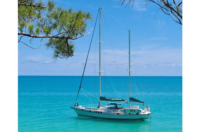 Private Catamaran Swim Sail Snorkel Cliff Jumping SUP - Exhilarating Cliff Jumping Opportunities