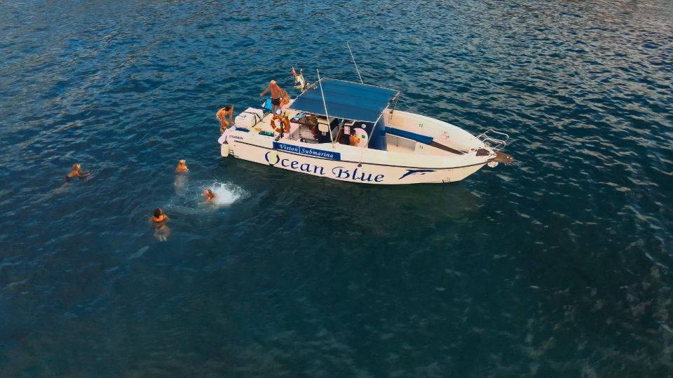 Private Charter Private Charter to See the Whales - 8 Hours - Booking Information