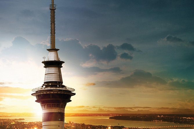 Private Coast to Coast Luxury Eco Tour - Accessibility Options