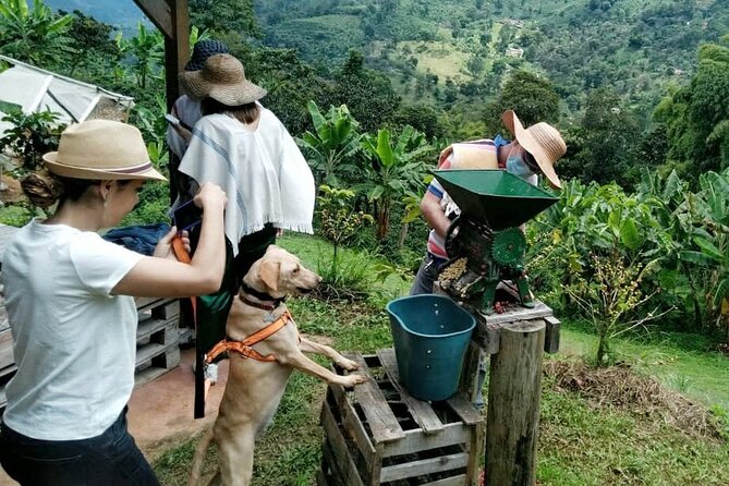 Private Coffee Tour in Jardín Antioquia - Pickup and Transportation
