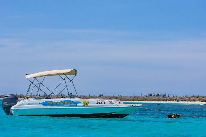 Private Cruise Along Aruba Coastline With Snorkeling - Meeting and End Points