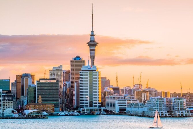 Private Custom Tour With a Local Guide Auckland - Meeting and Pickup Information