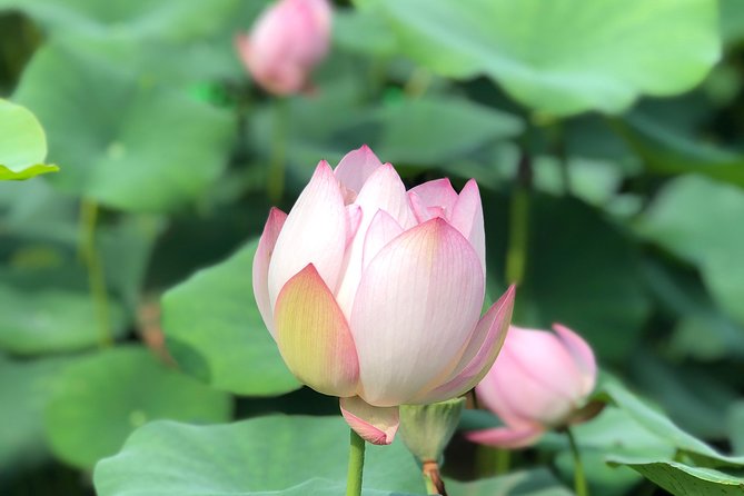 Private Customized Macau Day Tour From Hong Kong - Key Attractions in Macau