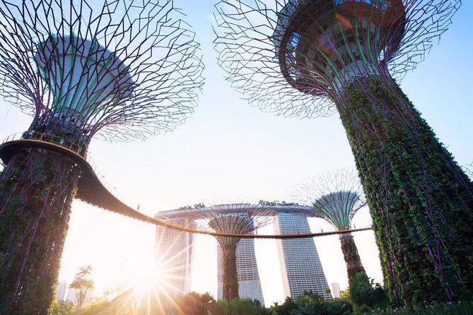 Private Customized Singapore Car Tour (Half Day or Full Day) - Inclusions and Exclusions