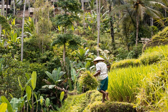 Private Customized Trip to Ubud - Transportation Options Available