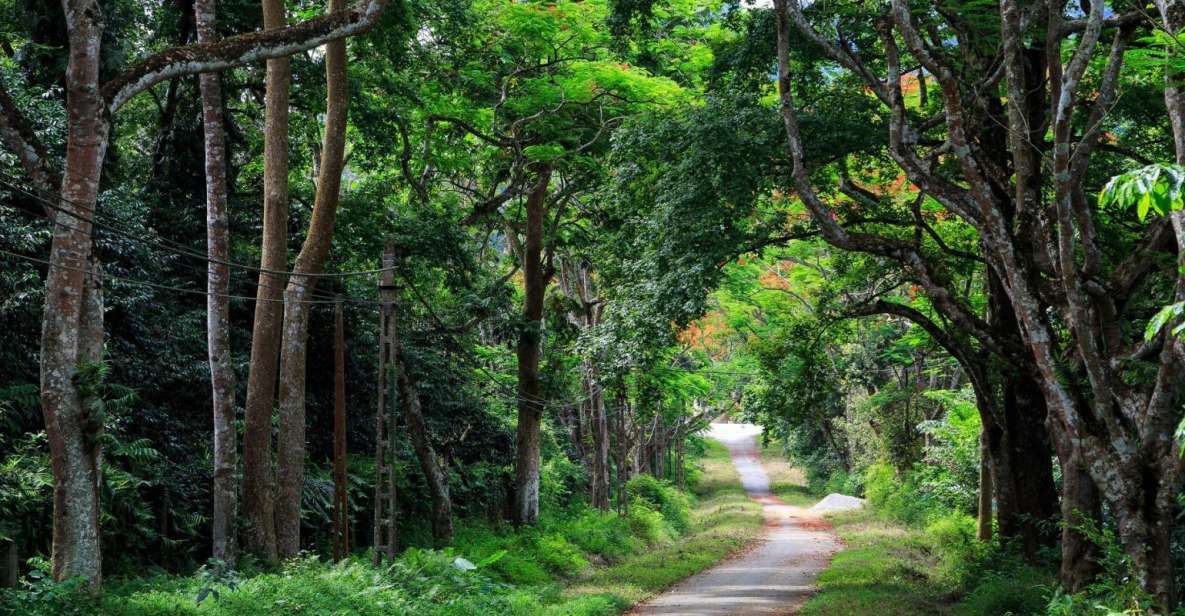 Private Day Tour: Cuc Phuong National Park From Hanoi - Location and Biodiversity