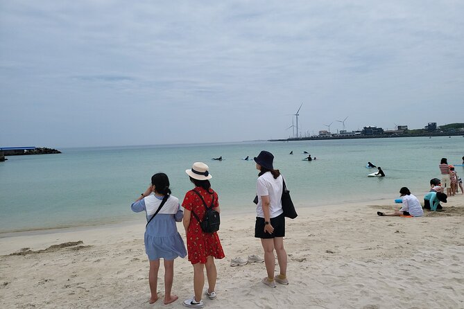 Private Day Tour East & South & West of Place in Jeju Island - Personalized Experience