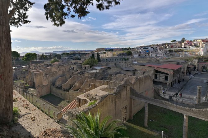 Private Day Tour to Vesuvius, Herculaneum & Pompeii With Pick up - Highlights of the Experience