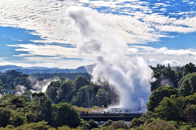 Private Day Trip To Te Puia Rotorua - Experience Highlights