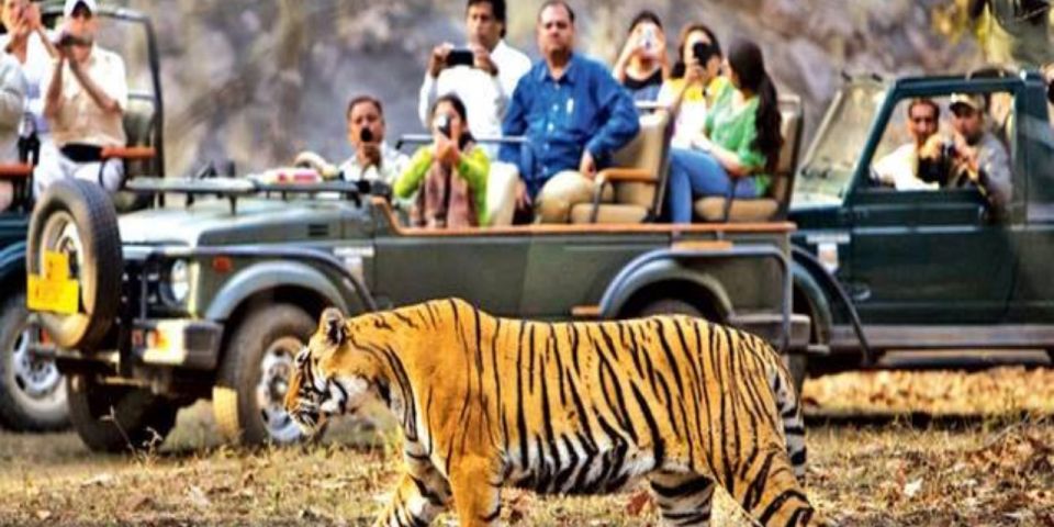 Private Day Trip With Tiger Safari From Jaipur All Included - Detailed Itinerary