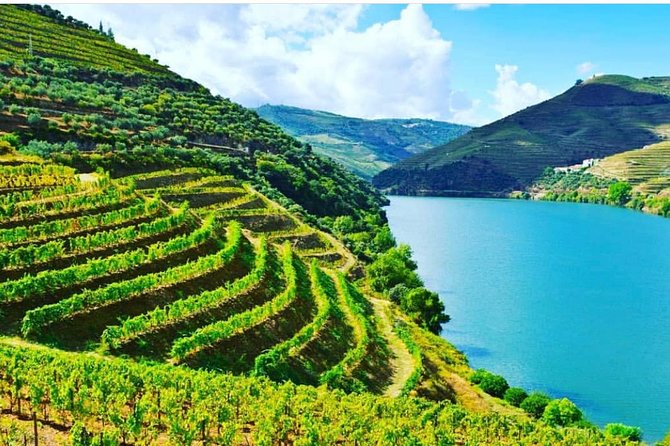 Private Douro Valley Food and Wine Tour From Porto - Douro River Cruise